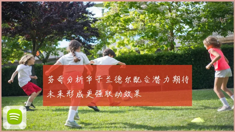 芬奇分析华子兰德尔配合潜力期待未来形成更强联动效果