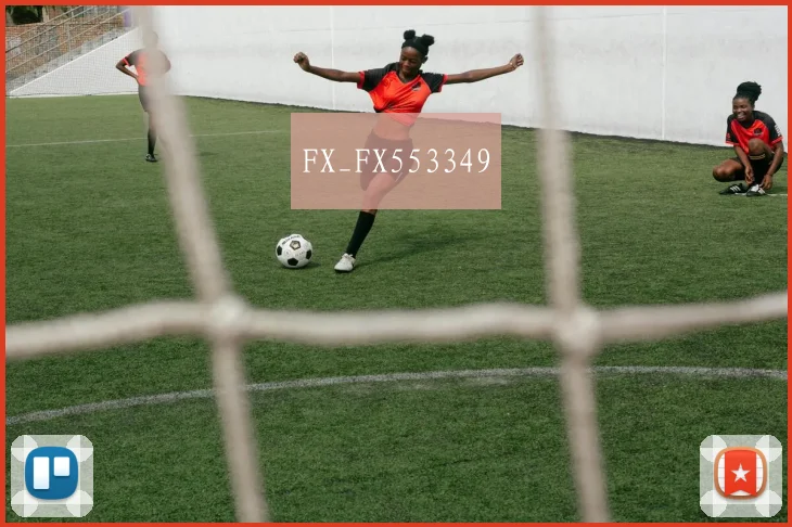 FX_FX553349