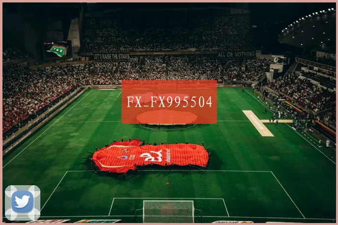 FX_FX995504