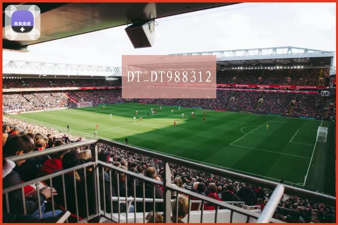 DT_DT988312