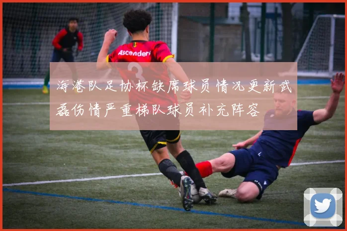 海港队足协杯缺席球员情况更新武磊伤情严重梯队球员补充阵容