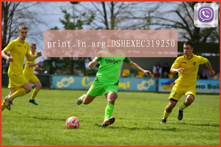 print_in_arg_DSHEXEC319250