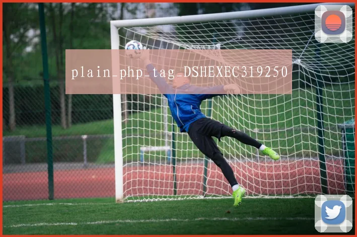 plain_php_tag_DSHEXEC319250